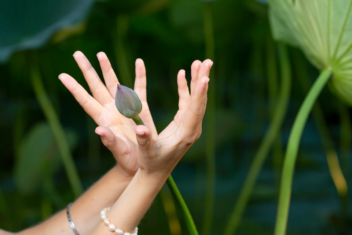 mudra of hand  young woman are folded in a special way into a yoga. Behind a strongly blurred background